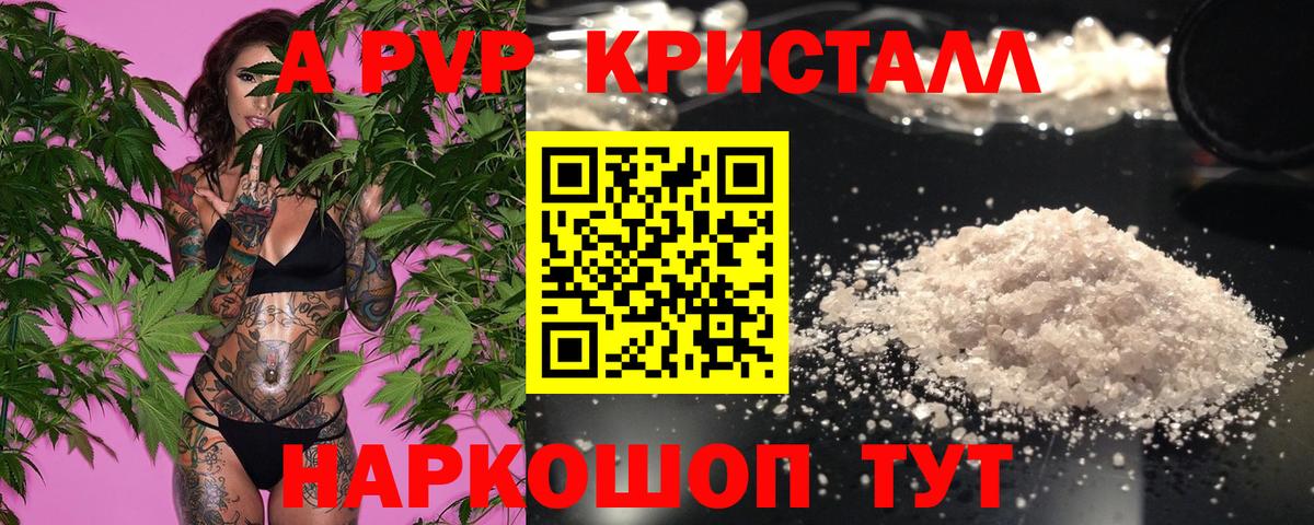 Alpha PVP крисы CK  как найти   А ПВП СК  Советская Гавань  Вход с VPN 
