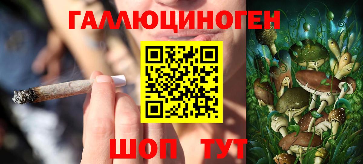 Галлюциногенные грибы Psilocybine cubensis  наркотики  Советская Гавань  Вход с VPN 