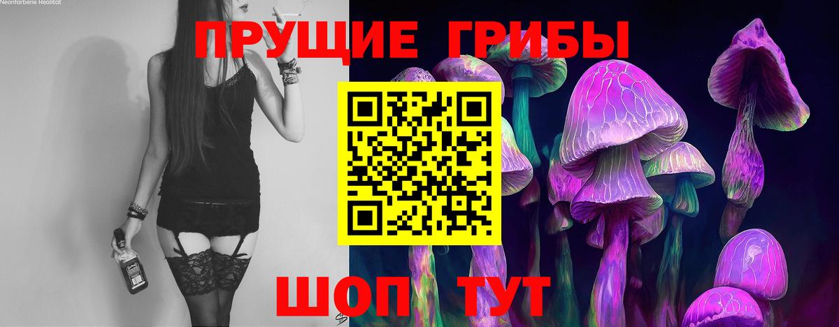 Псилоцибиновые грибы прущие грибы Советская Гавань
